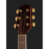 Takamine GN51CE-NAT Набор №539104 Takamine GN51CE-NAT Bundle №539104