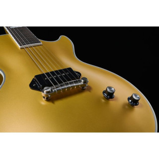Эпифон Джаред Джеймс Николс Золотая слава Epiphone Jared James Nichols Gold Glory
