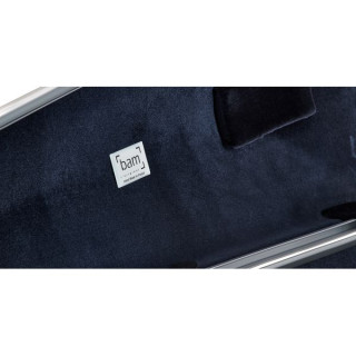 Чемпион по футляру для скрипки bam OP2002XLCS. bam OP2002XLCS Violin Case Champ.