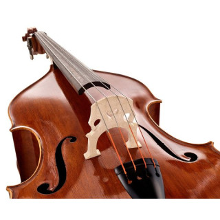 Контрабас Master Bucur Quenoil o.p.b. Master Bucur Double Bass Quenoil o.p.b.