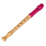 Молленхауэр 17212 Фиппл Тере сопрано G DH Mollenhauer 17212 Fipple Tere Soprano G DH